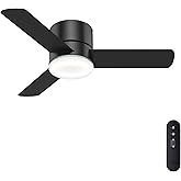 Hunter 44 inch Indoor Ceiling Fan with Light and Remote Control - For Bedroom or Living Room, Low Profile Mount, Black Modern