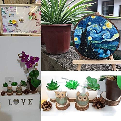 zaote 20 pcs Natural Wood Slices - Craft Unfinished Wood kit Predrilled with Hole Wooden Circles for Arts Wood Slices Christmas Ornaments DIY Crafts fashionable