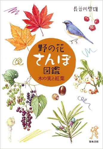 野の花さんぽ図鑑 木の実と紅葉 Amazon Com Books