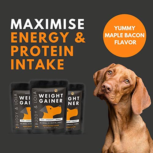 Buddy & Lola Dog Weight Gainer Dog Supplement for Weight Gain Dog Protien Powder for Max