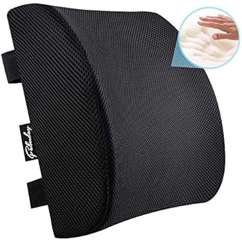 Memory Foam Lumbar Support Back Cushion for Back Pain Relief, Lumbar Support Pillow for Office Chair or Car Seat with Washable Mesh Cover and Dual Adjustable Straps, Black