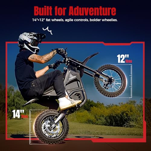 Yozma IN10 Electric Dirt Bike, 2600W 64.4km/h Electric Motorcycle with 48V/23AH Battery Ebike, Full Hydraulic Brakes and Suspensions Mountain Off-Road E Dirt Bike