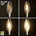 Lucero LED Filament Healthy Edison Light Bulb 6W - 60W Equivalent C35 Candle E12 Candelabra Base - Dimmable Warm White 2700K Color UL Listed