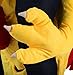 Tigerdoe Piggyback Costume - Chicken Ride On Costume - Carry Me Costume - Riding Shoulder Costume – Funny Adult Costumes