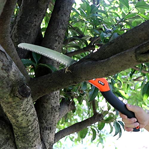 FUJIWARA Pruning Saw for Wood Camping, Wet & Dry Wood (10 Inch)
