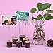 Wooden Base Place Card Holders, Dedoot Rustic Real Wood Base Table Number Holder Party Decoration Card Holders Picture Memo Note Photo Clip Holder, Pack of 20