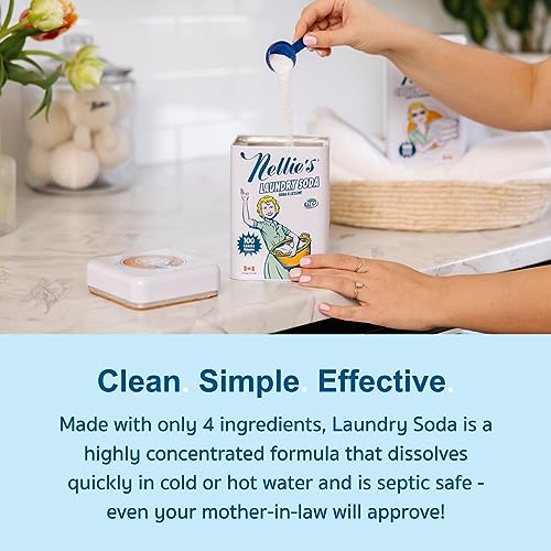 Nellie's NonToxic Vegan Powdered Laundry Detergent, 100 Loads (3.3lbs) Fresh Scent Pricepulse