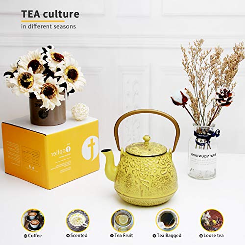 Tea Kettle, TOPTIER Japanese Cast Iron Teapot with Stainless Steel