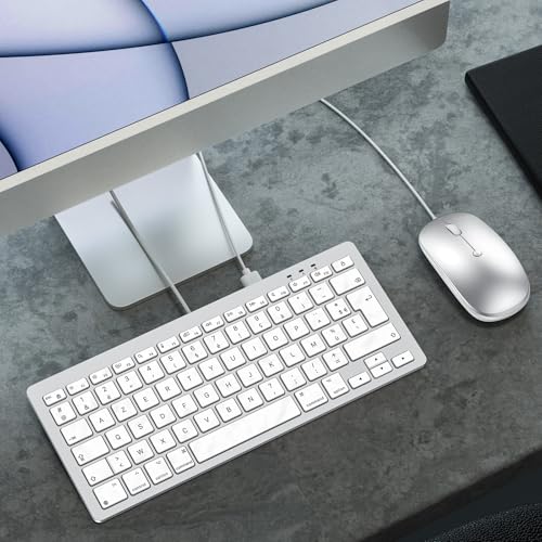 OMOTON Clavier et Souris Filaire pour Mac avec Double Interface, USB et Type-C Compact Ensemble Clavier et Souris Compatible avec Apple MacBook Pro/Air, iMac, Mac Mini, AZERTY FR, Argent