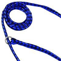 Guardian Gear Animal-Control O-Ring Slide Leads, 5