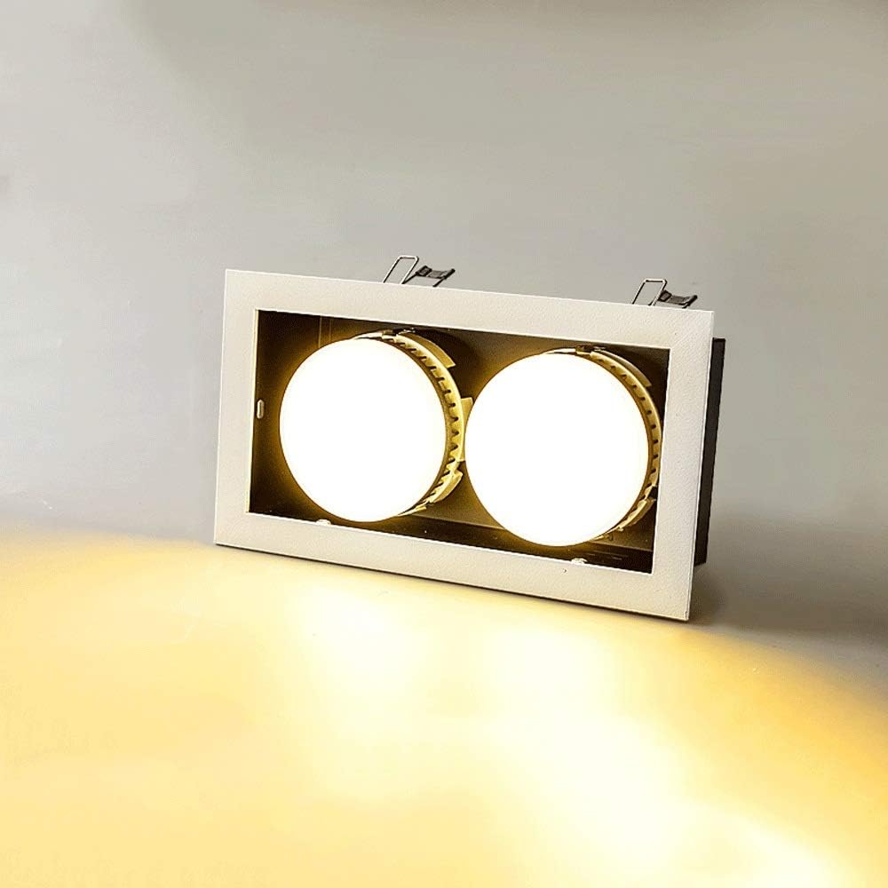 Wapipey 29W LED Ceiling Light Embedded Installation Living Room Double Head Spotlight Clothing Shop Square Hole Lamp Aluminum Metal Fire Panel Light (Color : Warm Light (3000k))