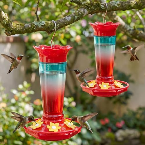 Gbekery Kolibri-Futterspender aus Glas, zum Aufhängen, Ameisen- und Bienensicher, 284 ml, 2 Stück, Vogelfutterspender zum Aufhängen im Freien, 5 Futte