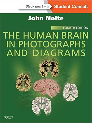 The Human Brain in Photographs and Diagrams E-Book: With STUDENT CONSULT Online Access - //medicalbooks.filipinodoctors.org