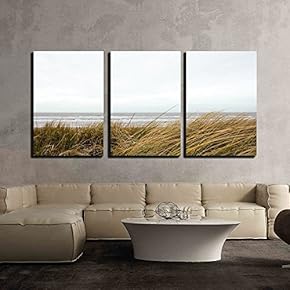 3 Piece Canvas Wall Art - Seashore with Grass - Modern Home Art Stretched and Framed Ready to Hang - 16"x24"x3 Panels