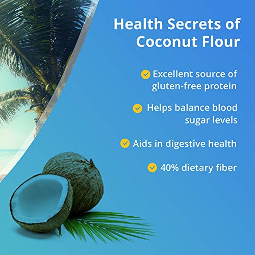 Coconut Secret Raw Coconut Flour - 1 lb - High Fiber, Unheated, Unbleached, Unrefined Grain Flour Alternative - Organic, Vegan, Non-GMO, Gluten-Free, Kosher - 32 Servings