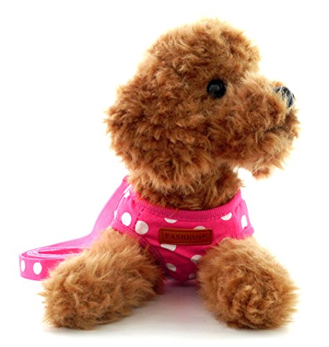 SMALLLEE_LUCKY_STORE Small Dog Cat Sweet Dots Pattern Vest Harness Leash Set Mesh Padded Lead Pink M