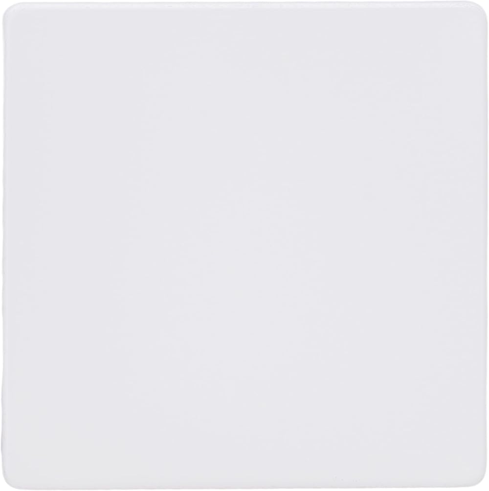Varilight Primed Ready to Paint Flat Plate Screwless Single Blank Plate