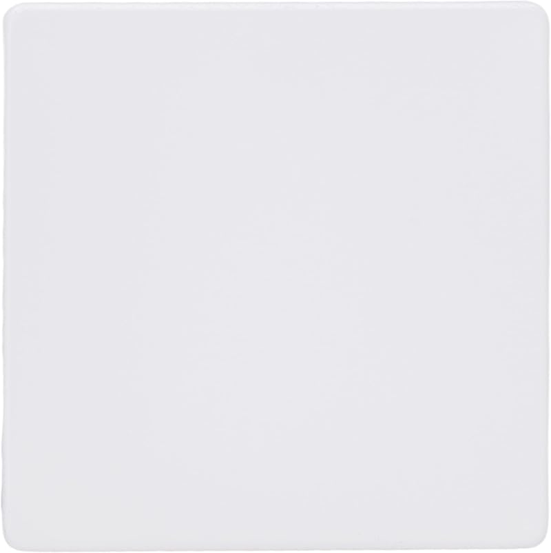 Varilight Primed Ready to Paint Flat Plate Screwless Single Blank Plate
