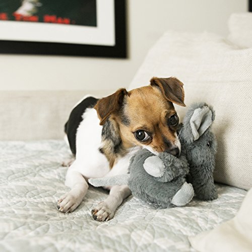 KONG Comfort Kiddos Lion Toy - Image 2