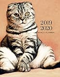 2019 2020 Kitten Cat 15 Months Daily Planner: Academic Hourly Organizer In 15 Minute Interval; Appointment Calendar With Address Book & Note Section; Monthly & Weekly Goals Journal With Quotes by ZenWerkz