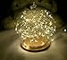 LIIDA 3-Pack Battery Operated Fairy String Lights 20LED Starry Lights Battery Powered 7.2ft Silver Copper Wire for Birthday Party Wedding Decorations
