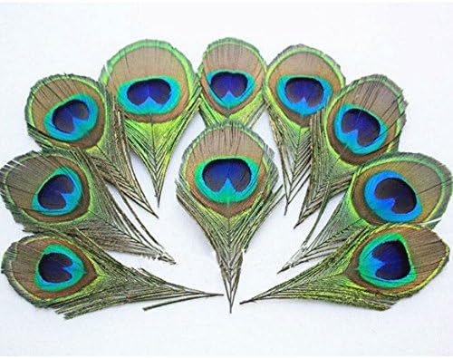 Nature Peacock Feather Eyes Blue Peacock Eye -Fly Tying Material (10PC)