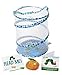 Insect Lore World of Eric Carle, The Very Hungry Caterpillar Butterfly Growing Kit with Voucher, Blue, Standard (B07F1VJH1X)
