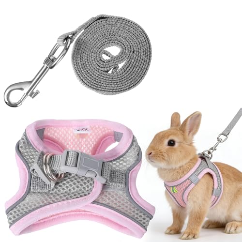 Gtziqa Bunny Harness and Leash