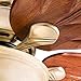 Honeywell Ceiling Fans Royal Palm, 52 Inch Tropical LED Ceiling Fan with Light, Pull Chain, Three Mounting Options, Hand Carved Solid Wood Blades - 50500-01 (Aged Brass)