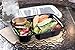 10 Pack Compartment Lunch Box Bento Boxes with Lids - Multi Purpose Storage Containers for Baby Food, Kitchen, Pet, Dog, Crafts, Pantry, Office, Garage, Picnics, Travel by Perfect Life Ideas