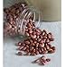 David's Garden Seeds Bean Dry Vermont Cranberry SVC01 (Brown) 100 Heirloom Seeds