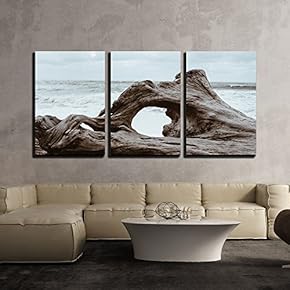 3 Piece Canvas Wall Art - Old Giant Tree Root on The Sea Shore - Modern Home Art Stretched and Framed Ready to Hang - 16"x24"x3 Panels