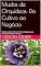 Livro Mudas de Orquídeas: Do Cultivo ao Negócio: Modelo completo de Business Plan de Negócios para produção sustentável e lucrativa