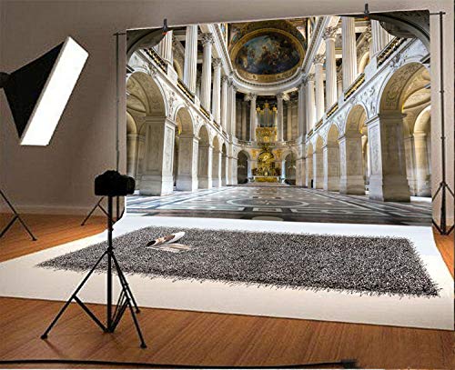 LFEEY 5x3ft Interior of Old Cathedral Backdrop Photography Background Magnificent Church World Famous Scenery Religious Belief Wedding Shooting Backdrop Children Kids Adults Portraits Photo Studio