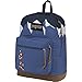 JanSport Disney Right Pack Expressions Laptop Backpack (Mickey Floral)