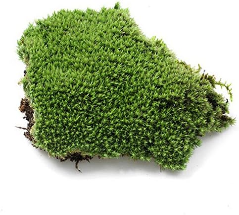 Lumpur Artificial Green Grass, Miniature Moss Plant - Garden Ornament Bonsai DIY Crafts - Fairy Garden Terrarium Dollhouse Decor(green)