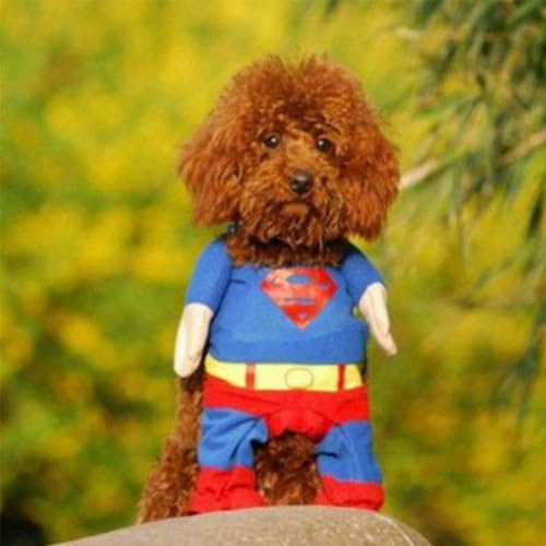 Shiba Pet Cat Dog Puppy Clothes Costumes Apparel T Shirt Superman Suit for Small Dog