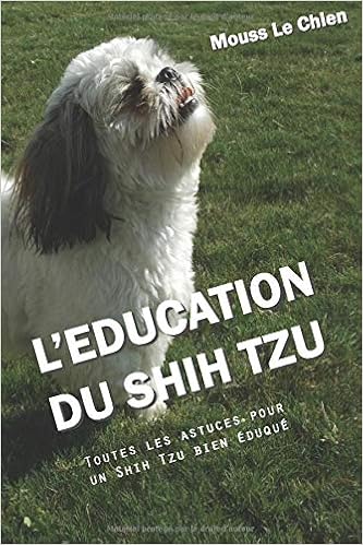 Leducation Du Shih Tzu Toutes Les Astuces Pour Un Shih Tzu