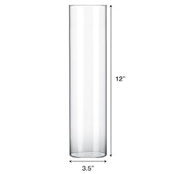 Fixwal Flower Vases, 12" H x 3.5" W, Clear Glass