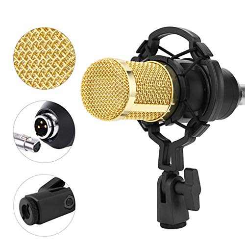 Puyong BM-800 Condenser Microphone Kit, Recording Kit with Adjustable Microphone Holder and Double-Layer Filter, Studio Microphone for Professional Recording Broadcasting Singing,Navy Blue