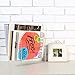 MyGift Premium Clear Acrylic Magazine Holder, Home Office Dorm Desktop Display Stand Document File Folder Storage Organizer