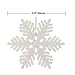 iPEGTOP 24 pcs Plastic Shinny Glitter Christmas Snowflake Ornaments Set for Craft DIY Party Home Holiday Decoration, 4 inch (White)