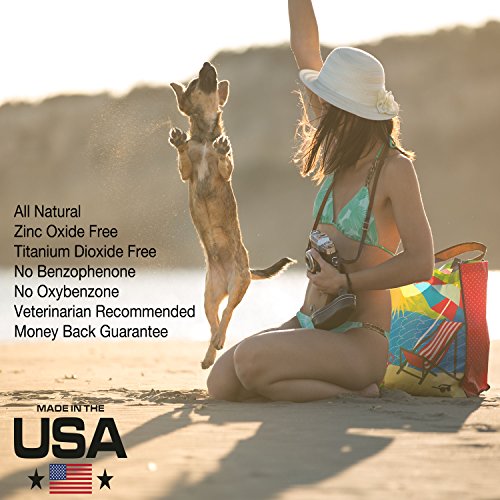 Beach & Dog Co Canine Sunscreen - Zinc Oxide Free - All Natural and Organic Formula for Dogs (2 oz Twist Stick)