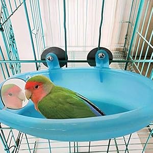 Vasca da Bagno per Uccelli con Specchio per Gabbia, Accessori per Doccia Birdbath per Pappagalli, Scatola da Bagno per… HPiano Vasca da Bagno per Uccelli con Specchio per Gabbia, Accessori per Doccia Birdbath per Pappagalli, Scatola da Bagno per…