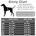 Bolux Over Head Dog Harness, Easy On and Off Pet Vest Harness, Reflective Breathable and Easy Adjust Pet Halters with Nylon Handle for Small Medium Large Dogs, Red, S