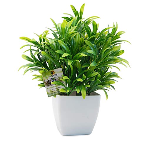 OFFIDIX Faux Plants Mini Potted Plastic Fake Green Plant Artificial Plants Aloe with White Square Pots for Home Decor (White Square Plastic Pots)