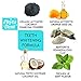 Lantique Activated Charcoal Natural Teeth Whitening Powder Kit