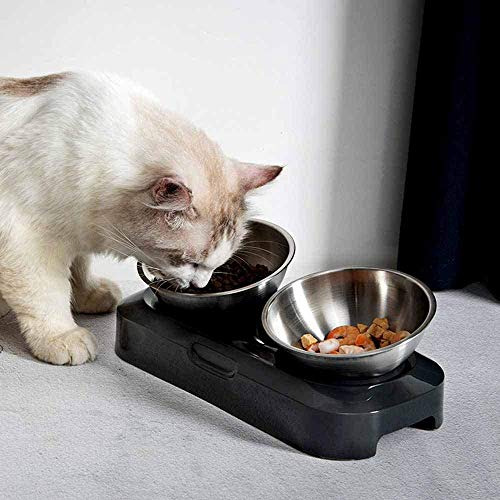 KCHEX Raised Cat Bowls Stainless Steel Material, 15° Tilted Elevated