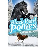 Ghost Horse (Black Pearl Ponies)
