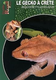 Le  gecko à crête de Nouvelle-Calédonie